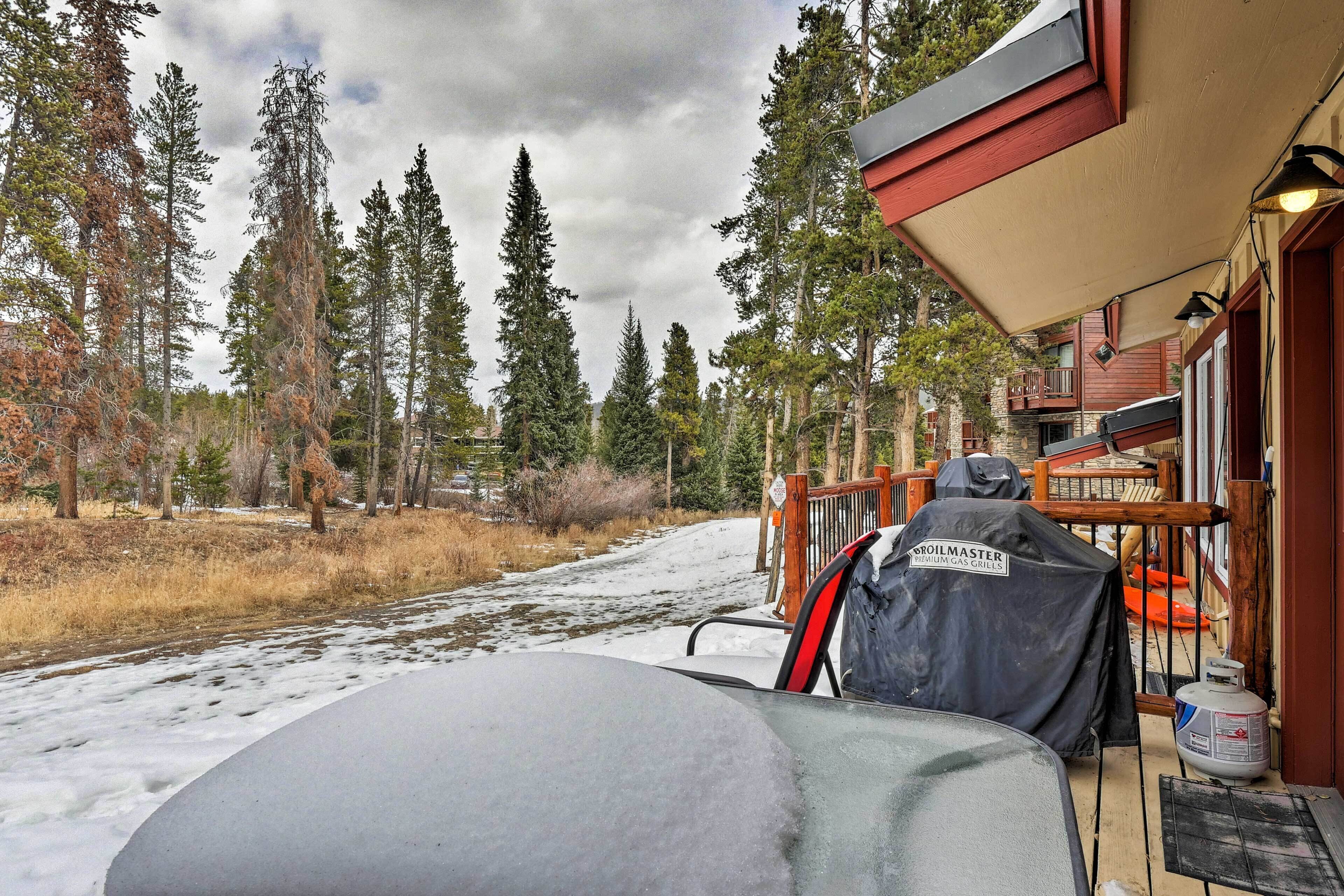 A covered outdoor area with a grill, a gas cylinder, and a view of a forested area.