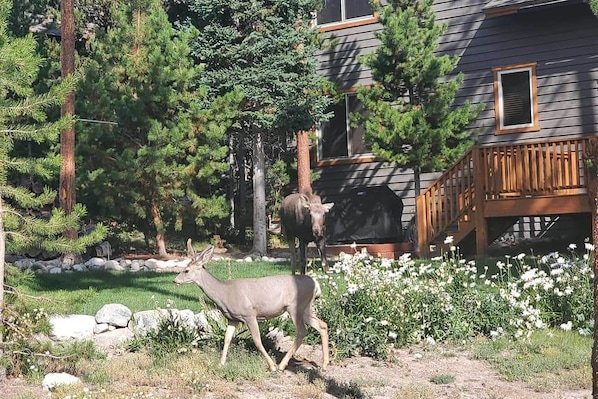 Interior - 1 Mi to Grand Lake: Family-friendly Gem w/ Hot Tub (Grand Lake)