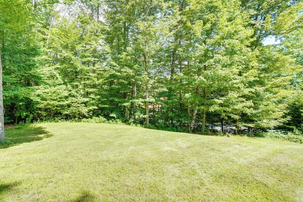 A grassy area with trees and a fence in the background.