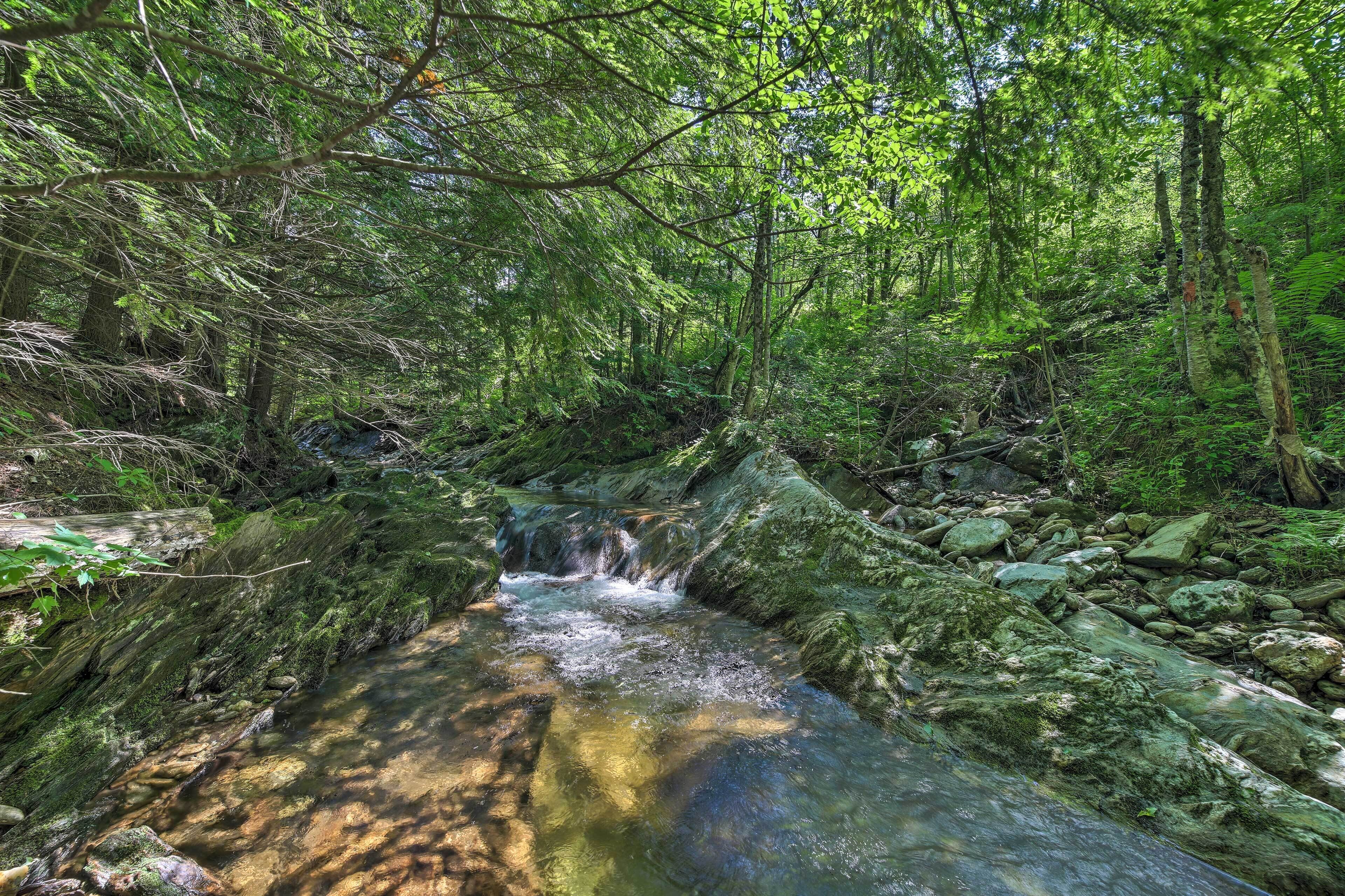 A forest stream with rocks and moss.