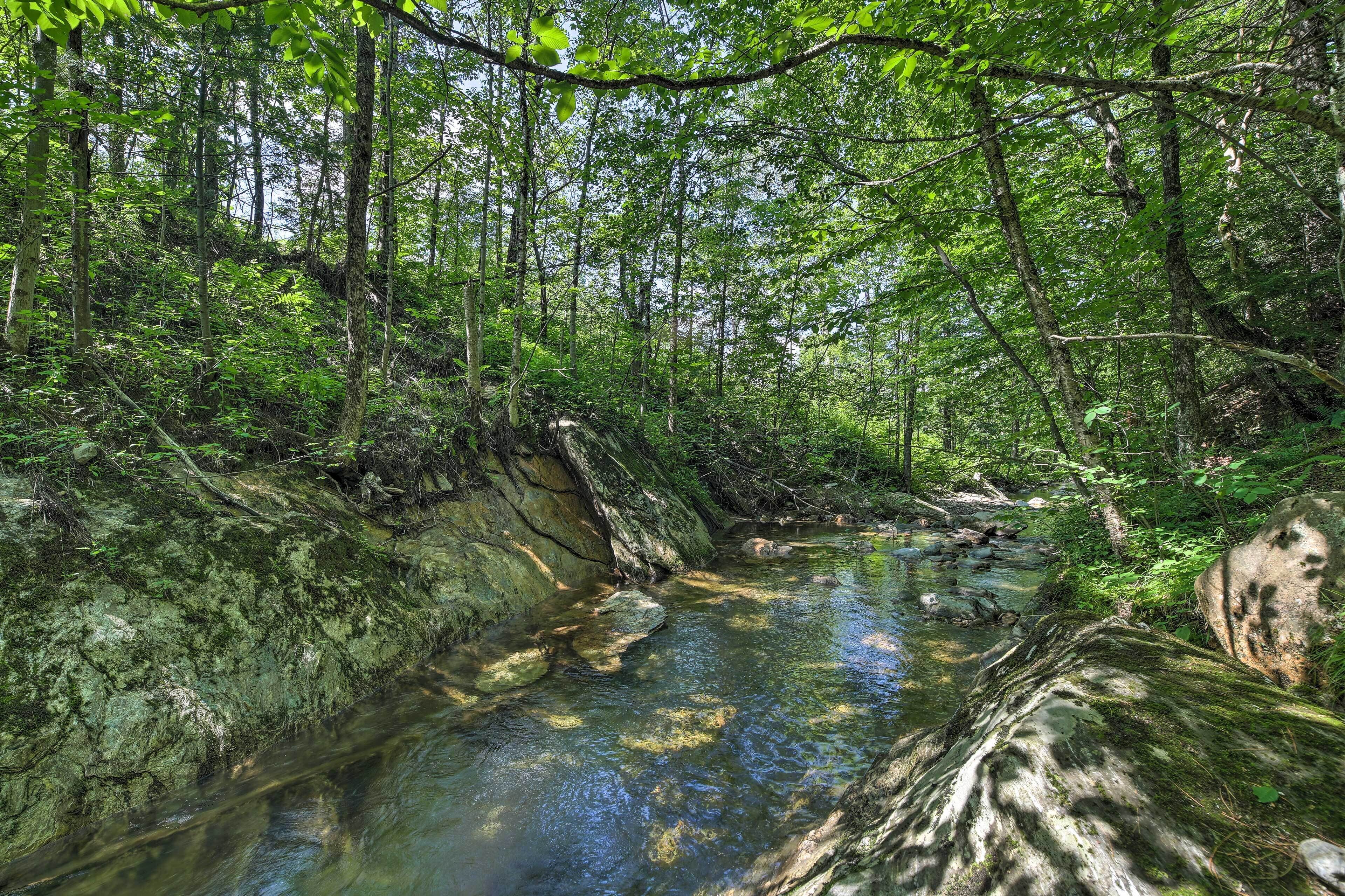 A forest stream with rocks and trees.