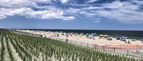 Appartement (3 Bedrooms) | Intérieur