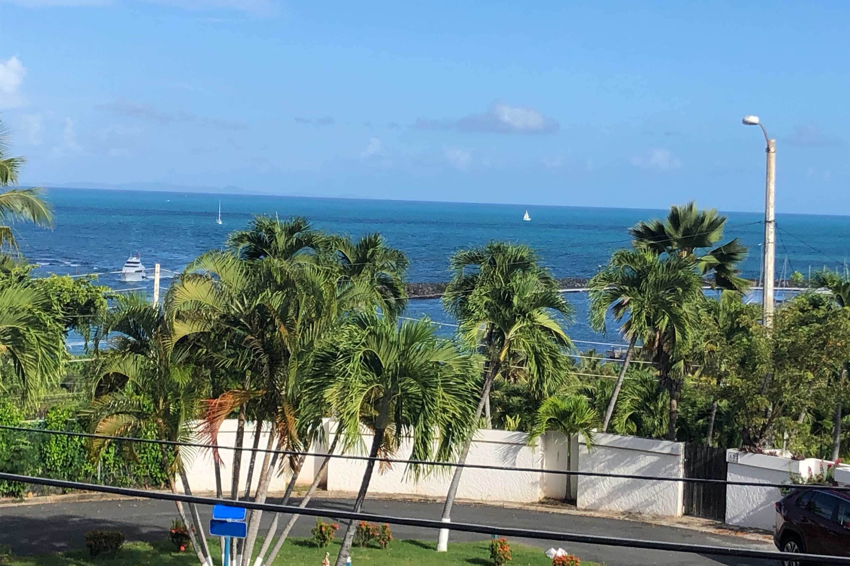 Une vue sur la côte, avec des palmiers, un ciel dégagé et un voilier à l’horizon.