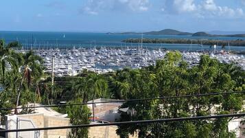 ハウス (3 Bedrooms) | 内装