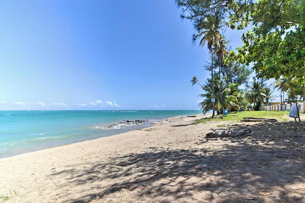 アパートメント (3 Bedrooms) | 内装