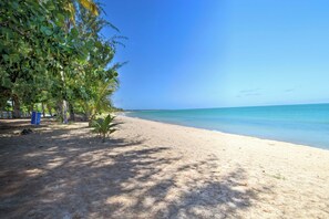 Appartamento (3 Bedrooms) | Interni