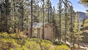 A small building surrounded by tall pine trees and dense shrubbery.