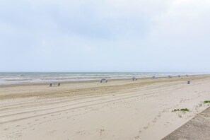 アパートメント (2 Bedrooms) | 内装