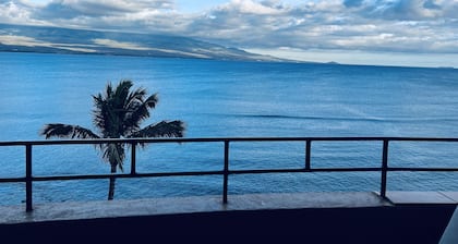 Best view in Maui. Condo fully remodeled. August special 10% weekly discount.