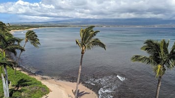 Plage, chaises longues, serviettes de plage