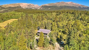 Ein abgelegenes Blockhaus, umgeben von dichtem Wald, mit freiem Blick auf ferne Berge.