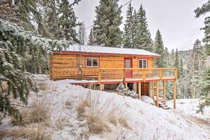 Exterior - Picturesque Alma Log Cabin w/ Deck & Grill! (Alma)