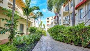 A pathway flanked by lush greenery and palm trees, leading to a building with balconies and a clear blue sky. - Fort Lauderdale Vacation Rental: Walk to Beach! (Fort Lauderdale)