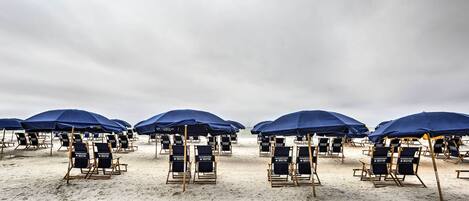 アパートメント (3 Bedrooms) | 内装