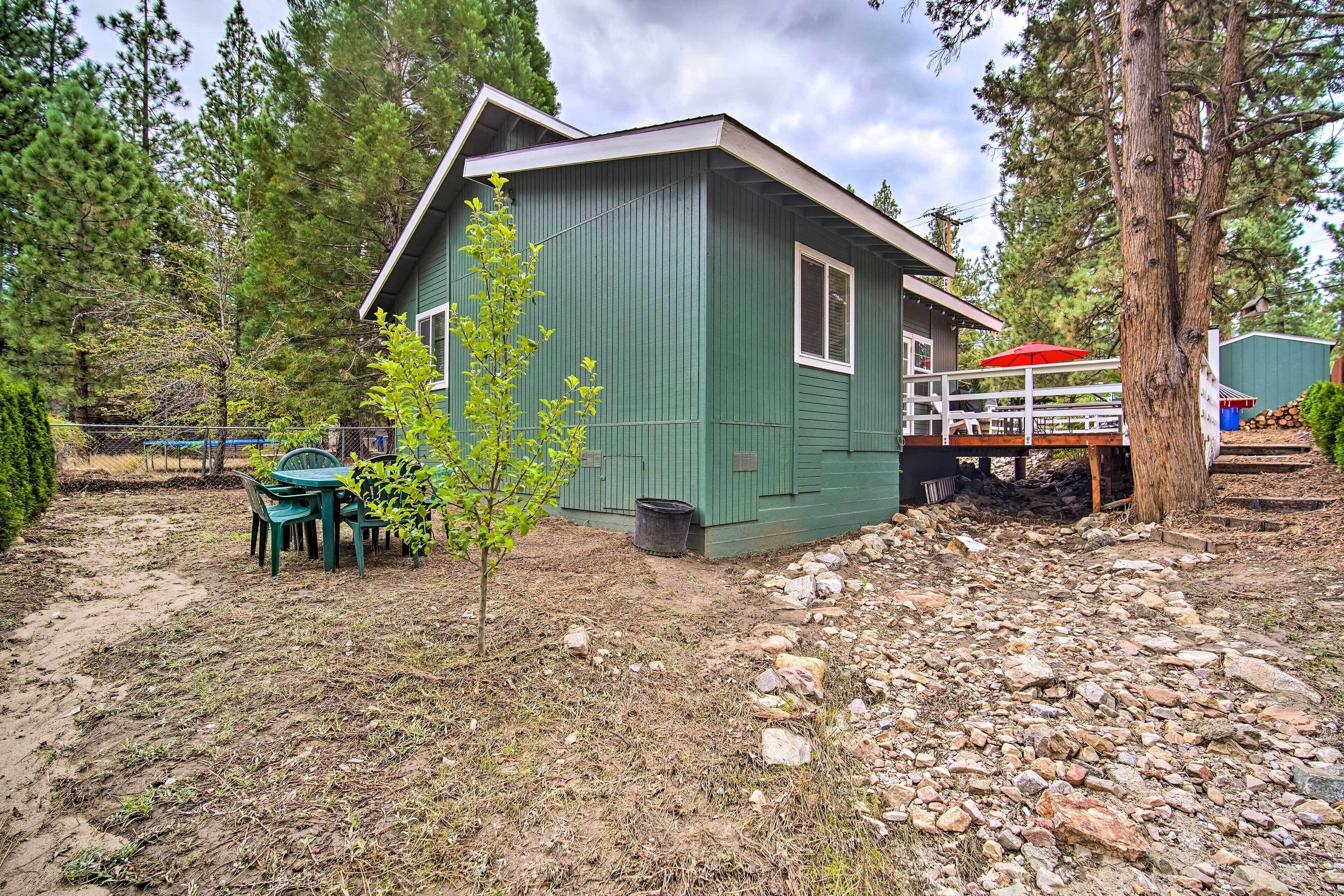 A small green cabin with a porch, surrounded by trees and a gravel path.