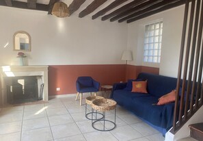 TV connectée, cheminée, livres