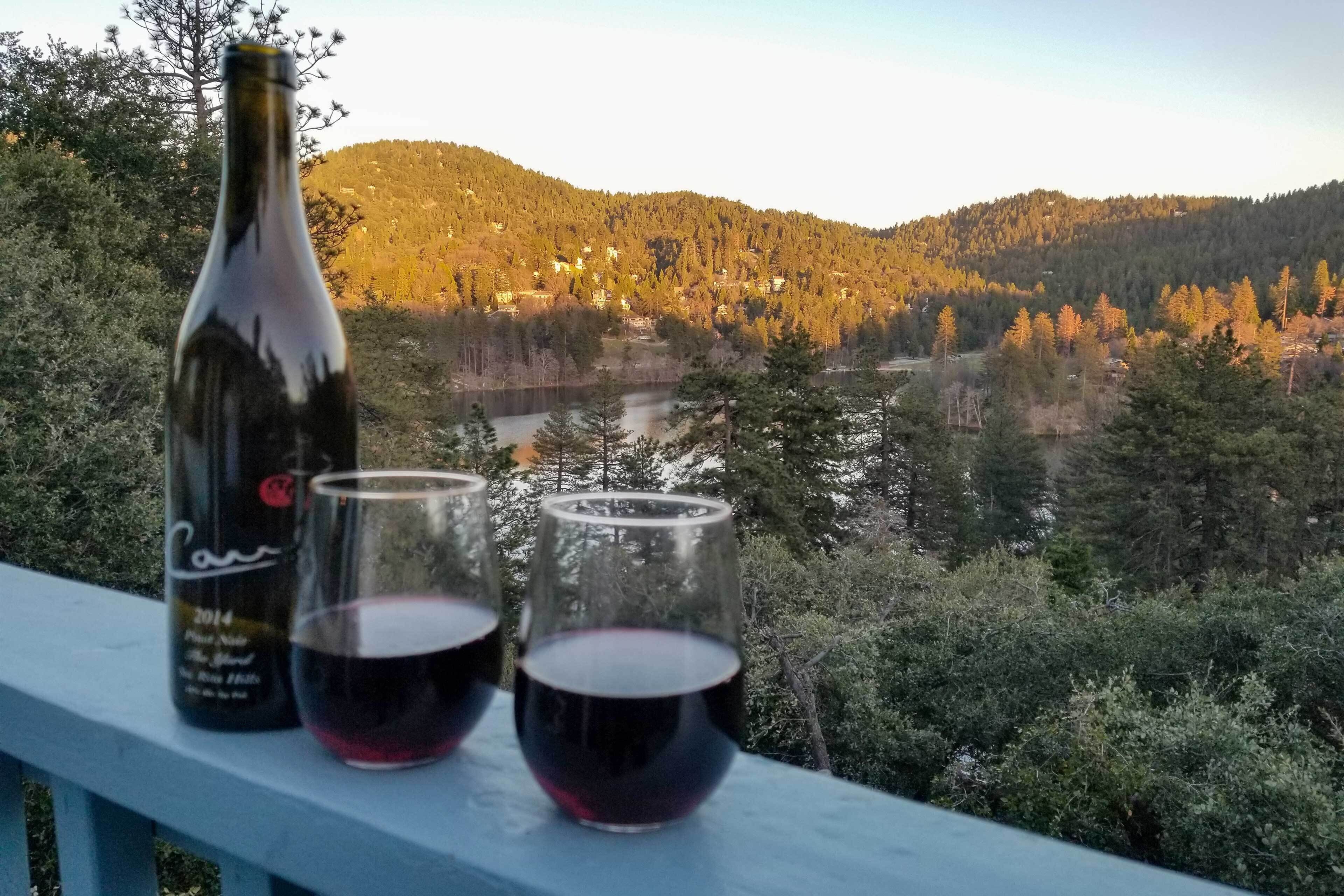 Een fles wijn en twee glazen op een balkon, met uitzicht op een bebost dal.