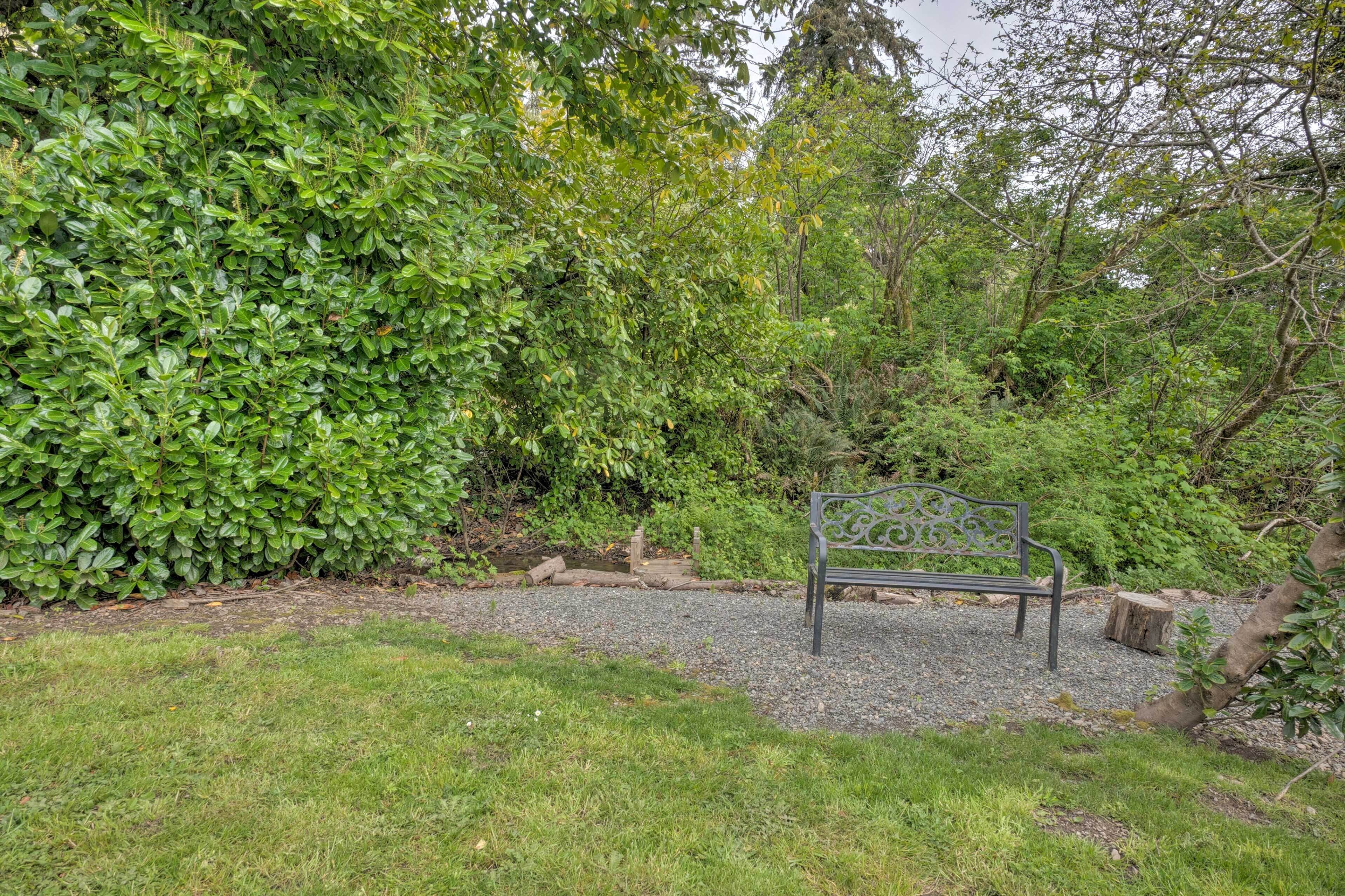 A bench in a garden with dense foliage and a gravel path.
