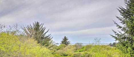 Eine natürliche Landschaft mit einem grasbewachsen Pfad, üppigem Grün und einem bewölkten Himmel.