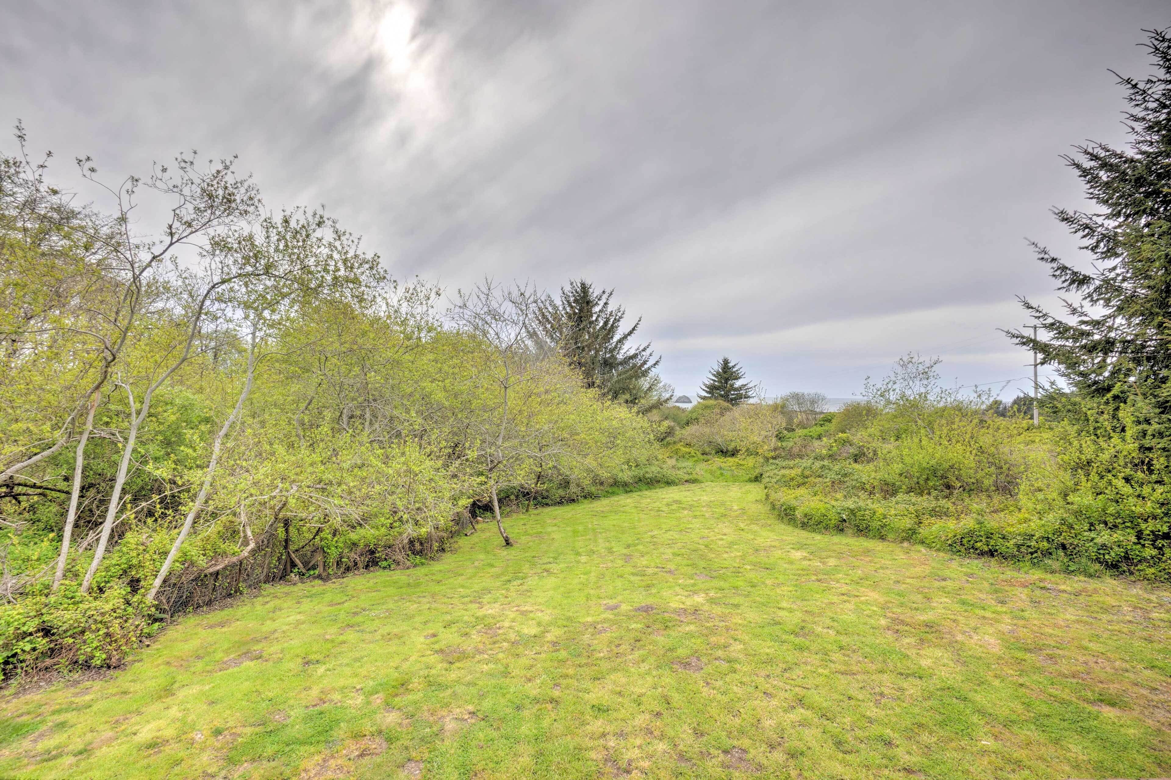 A grassy field with trees and bushes, under a cloudy sky.