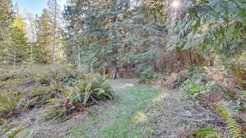 Casa (2 Bedrooms) | Parte interna