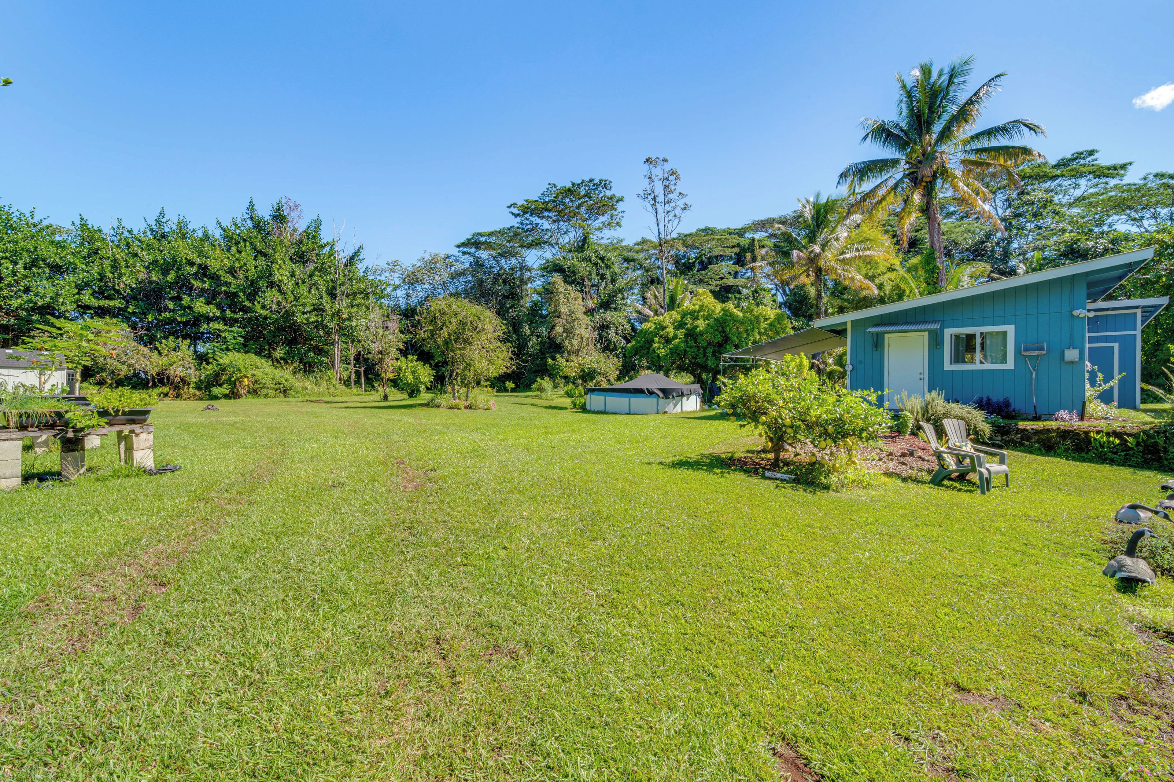 A grassy yard with a blue building, a palm tree, and a chair.