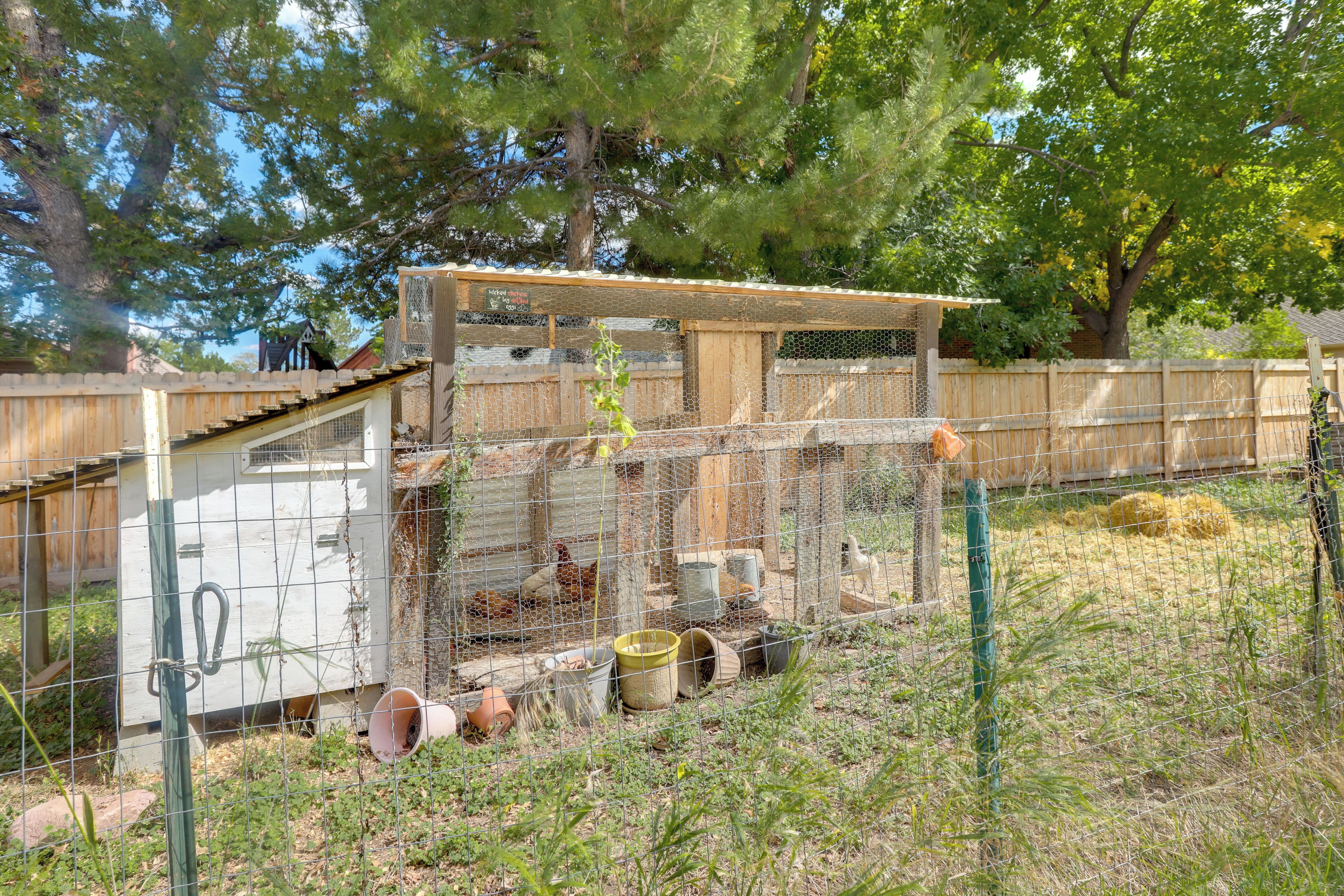 A fenced chicken coop with a wooden structure, wire mesh, and a wooden fence.