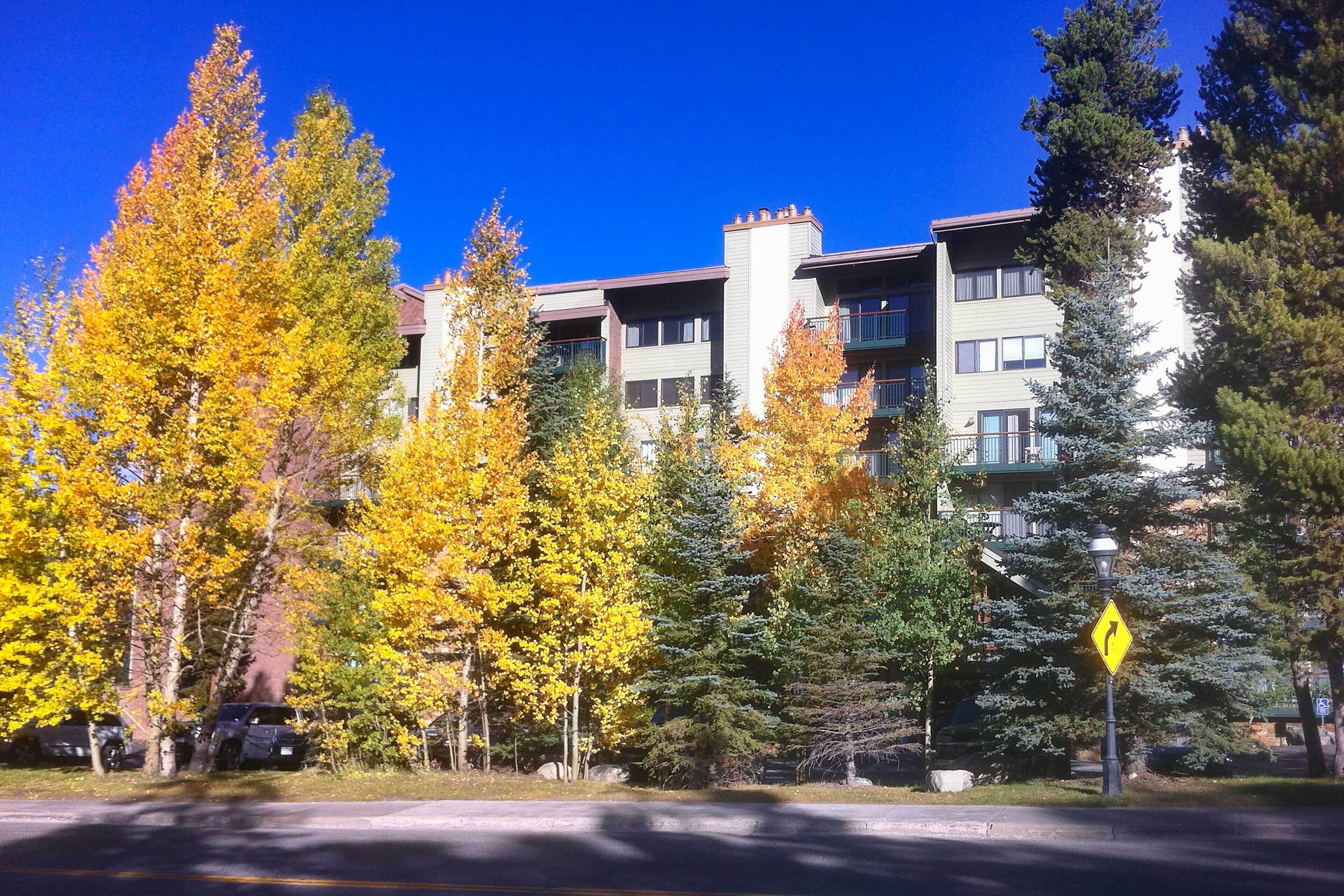 Apartamento (1 Bedroom) | Parte interna