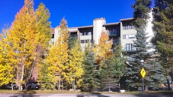 Apartamento (1 Bedroom) | Parte interna