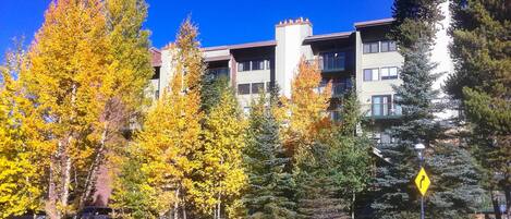 Apartment (1 Bedroom) | Innenbereich