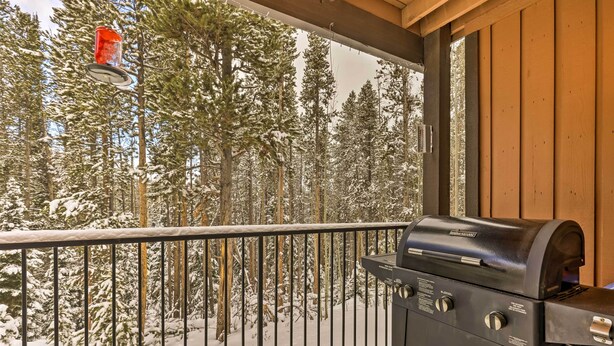 A balcony with a grill and a bird feeder. - Gorgeous Winter Park Condo w/ Private Deck! (Winter Park)