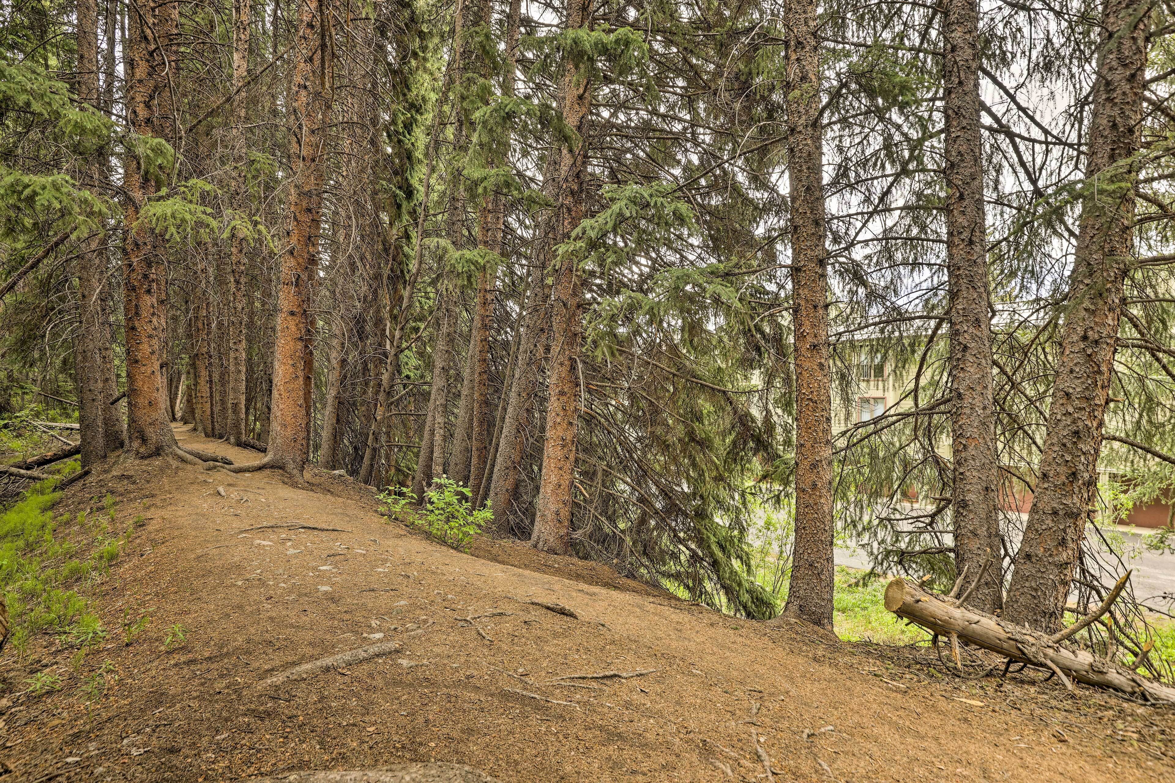 Departamento (2 Bedrooms) | Interior