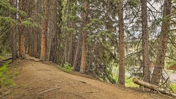 Departamento (2 Bedrooms) | Interior