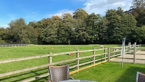 A wooden table and chairs in a grassy outdoor area with a wooden fence and trees in the background. - Puddleduck Cottage (Pickering)