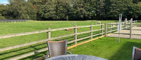 Udendørs spisemuligheder