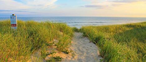 Departamento (1 Bedroom) | Interior