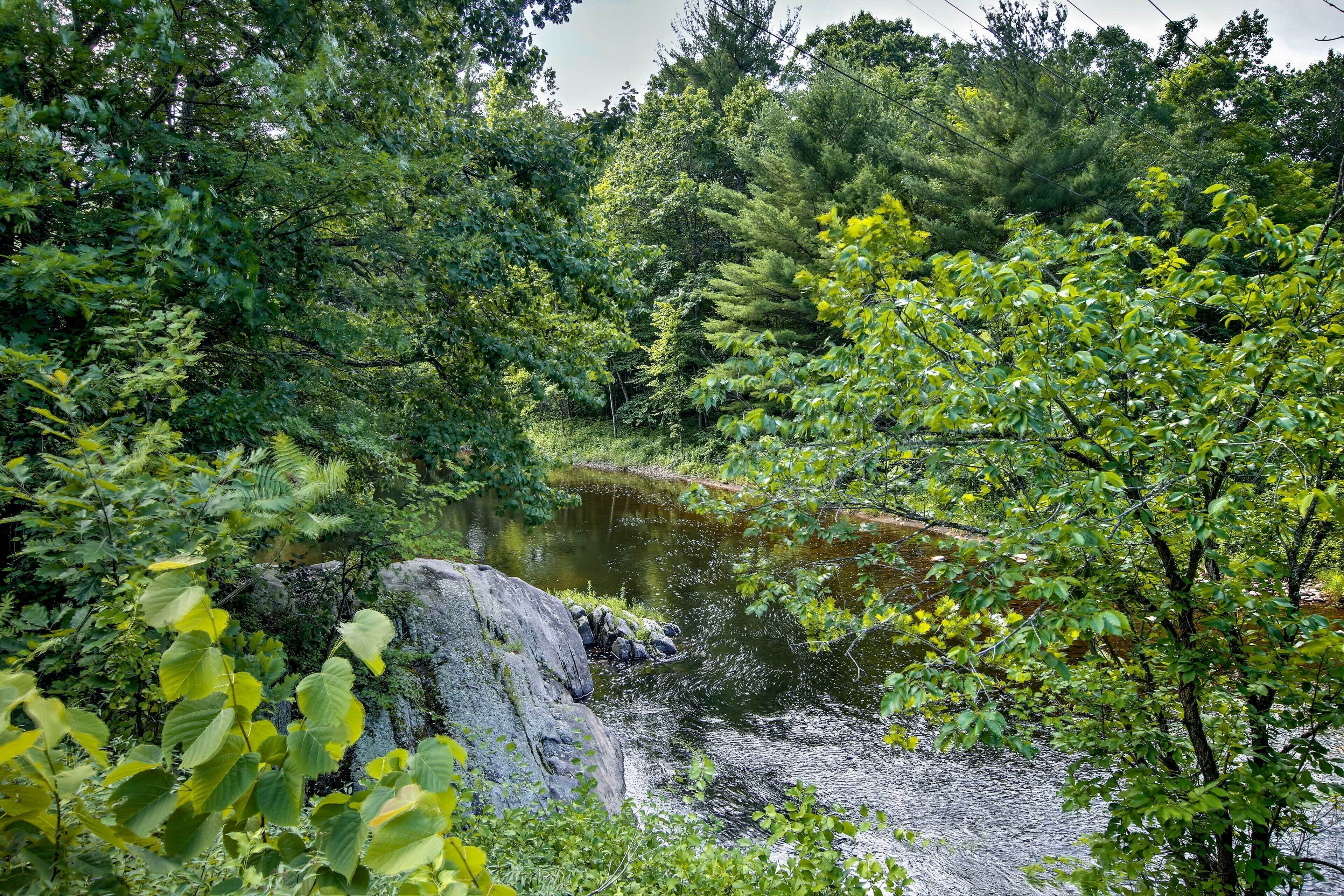 A natural landscape with a river, dense foliage, and a large rock formation.
