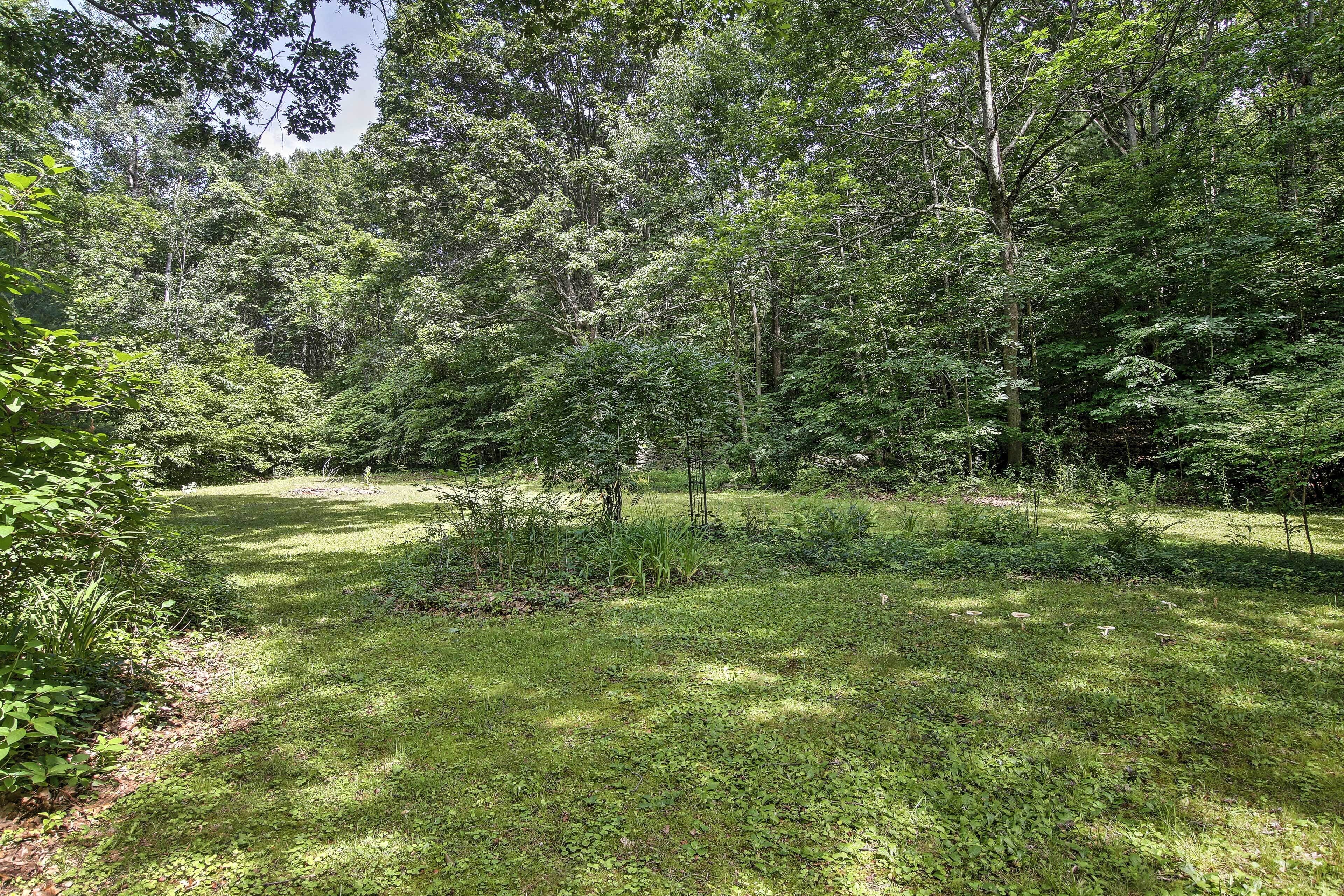 A natural landscape with a grassy area, dense trees, and a clear sky.