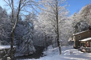 House (2 Bedrooms) | Interior - 'the Mill River Cabin w/ Fireplace & River View! (Mill River)