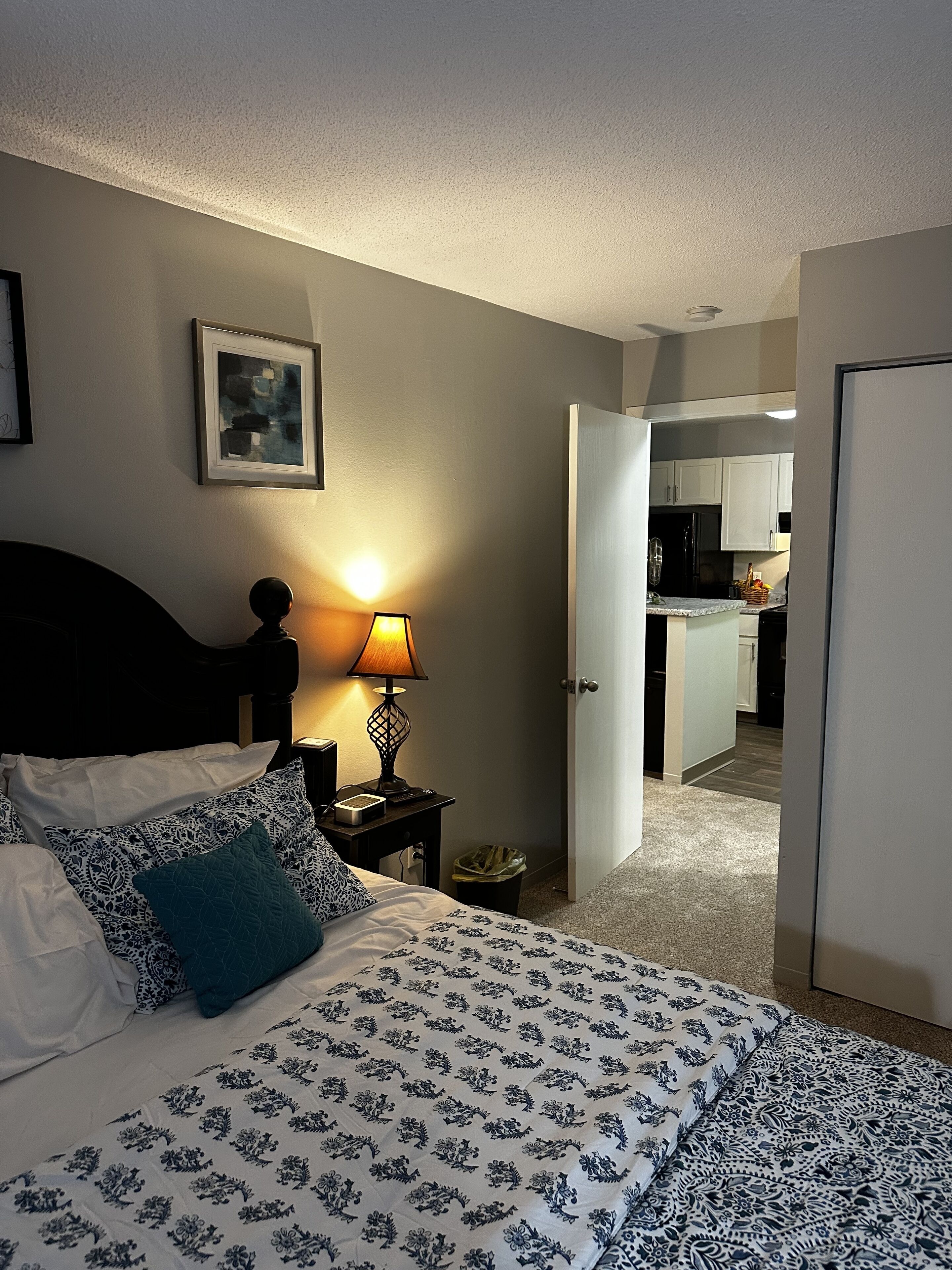 Une chambre à coucher avec un lit, une lampe de chevet, un tableau encadré au mur et une porte ouverte donnant sur une cuisine.