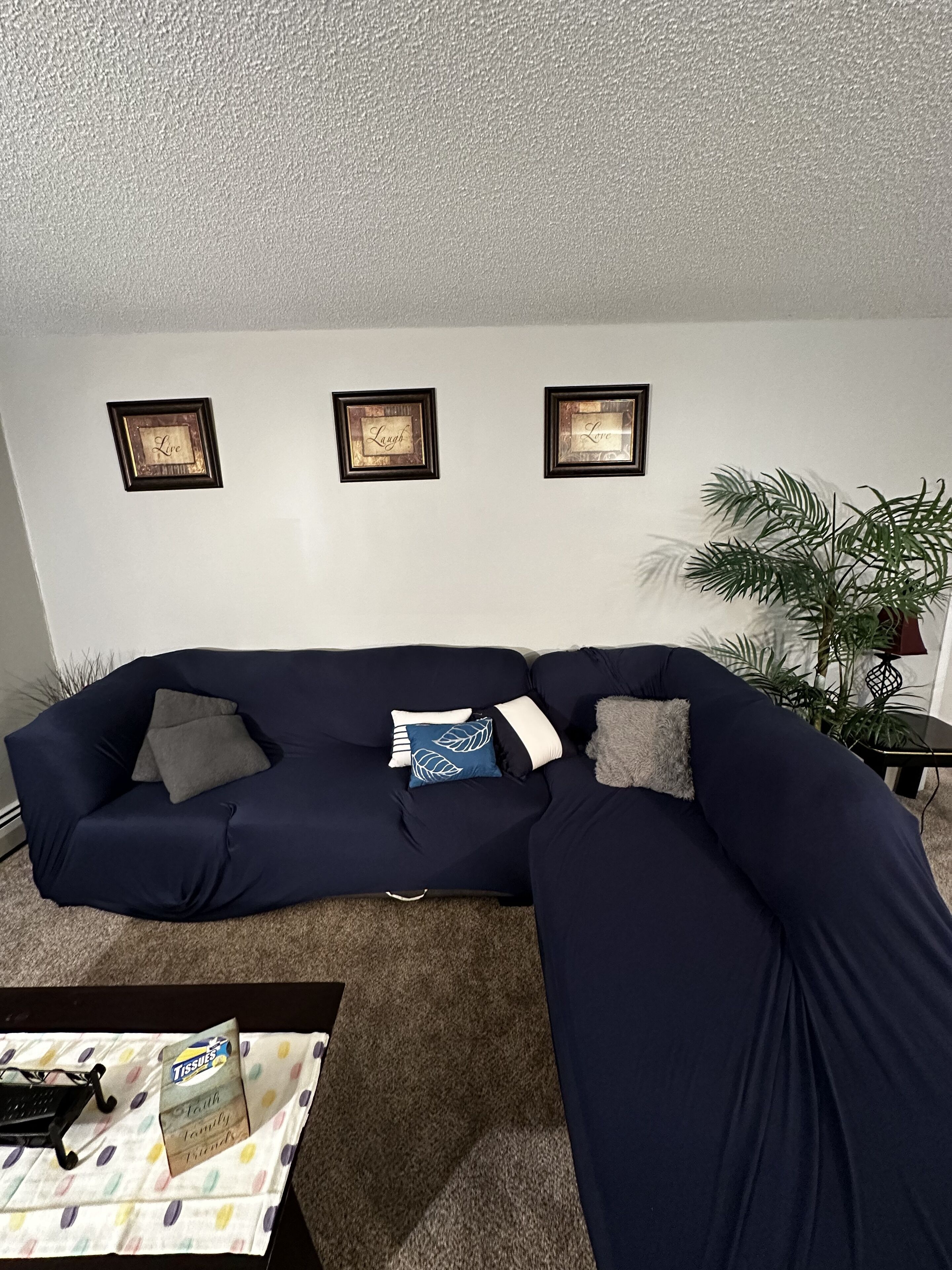 A dark blue sectional sofa with multiple cushions, a small table with a tissue box, and three framed pictures on the wall.
