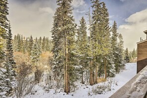 Property grounds - Central Ski Heaven, 5 Mi to Dillion Reservoir (Silverthorne)