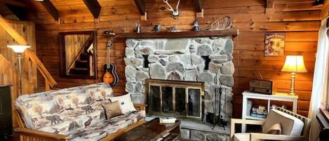 Smart TV, fireplace, books, music library