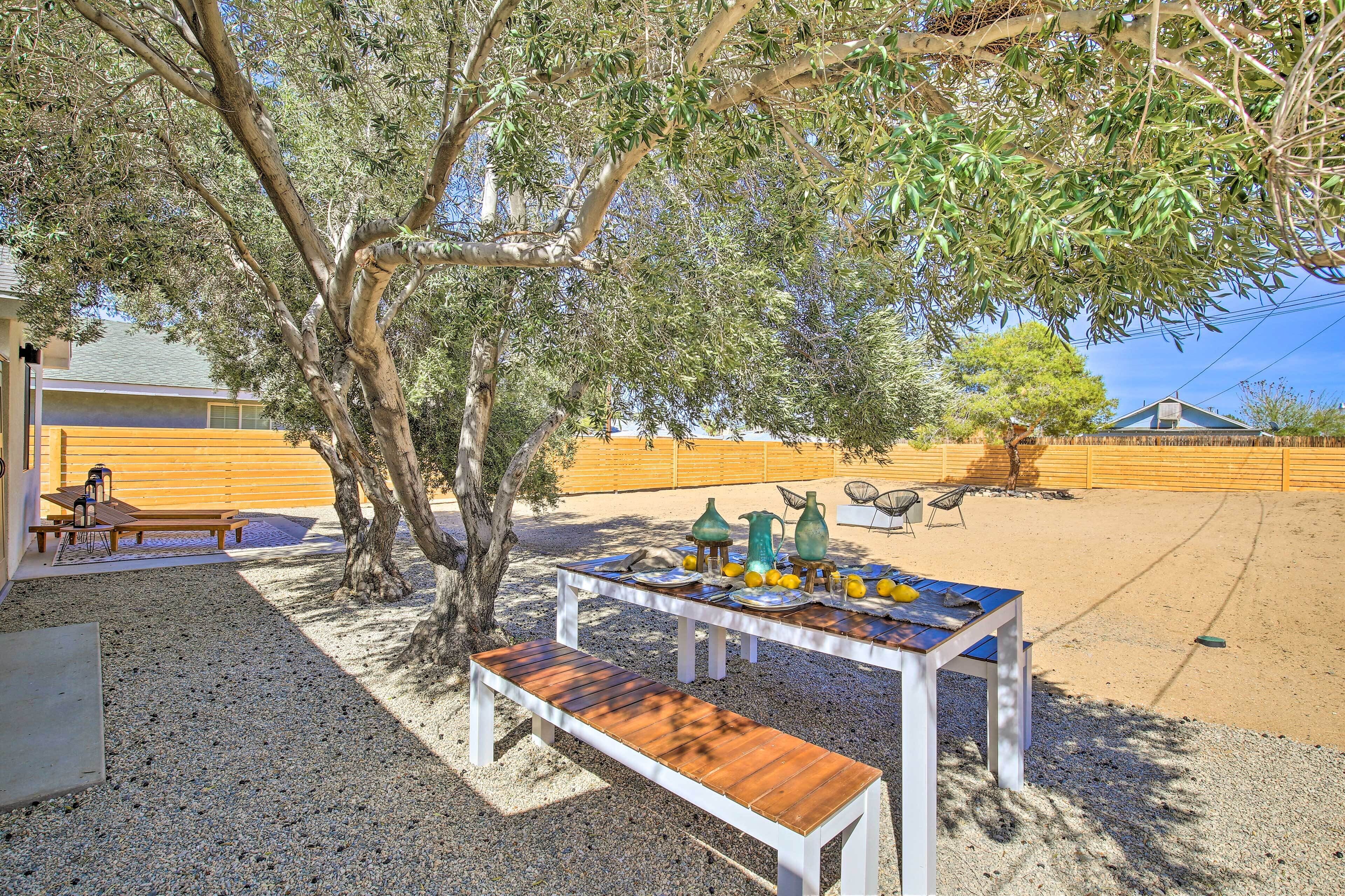 An outdoor dining area with a table set for four, surrounded by olive trees and a wooden fence.