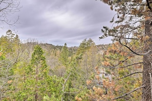 Uma área arborizada com árvores densas e uma colina ao fundo.