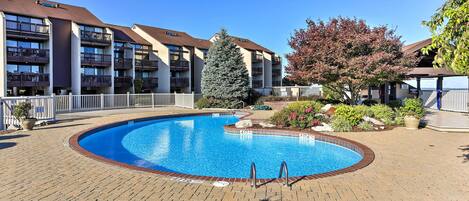 Apartment (1 Bedroom) | Interior