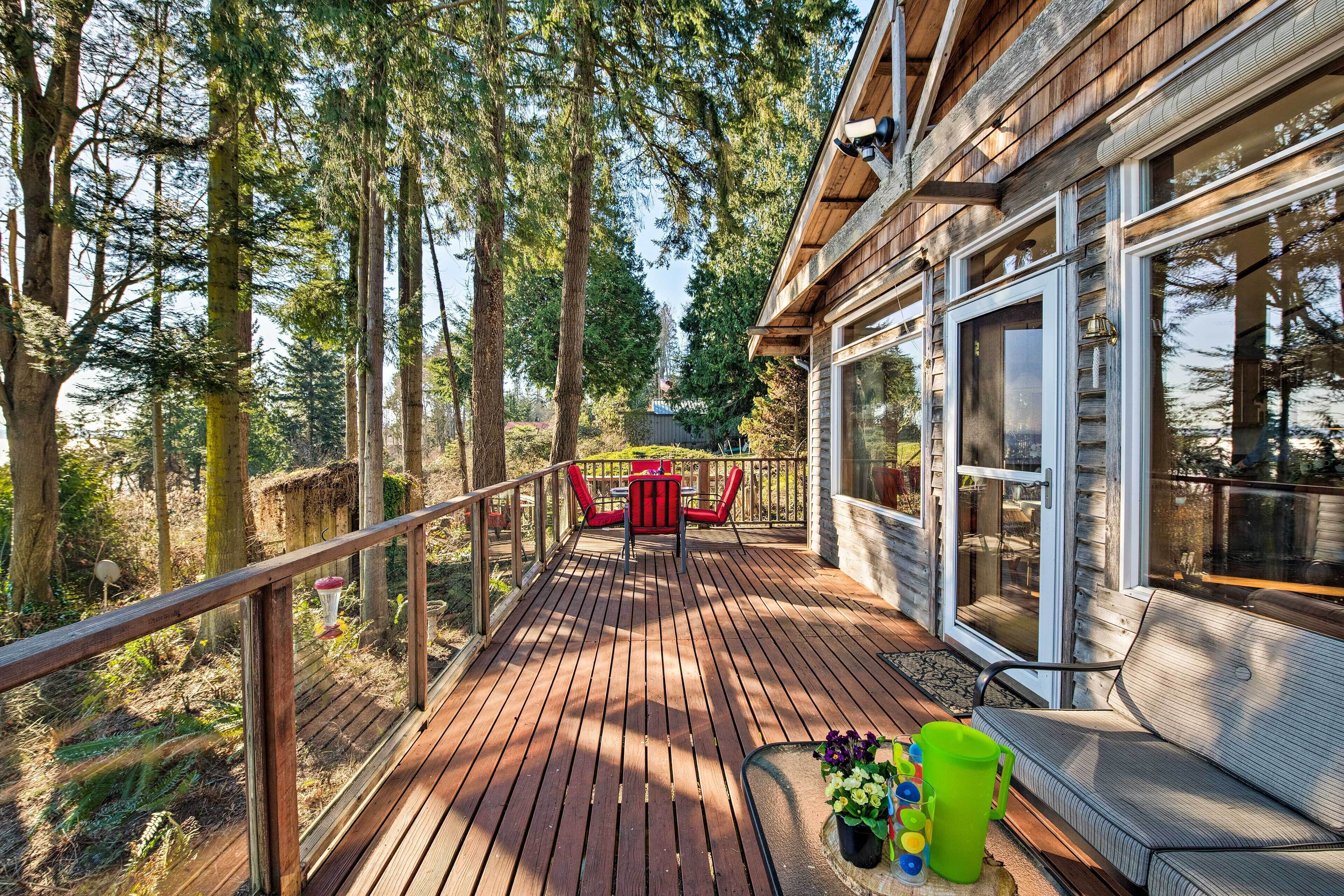 A wooden deck with a glass door leading to a room, surrounded by tall trees.