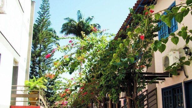 Un callejón estrecho flanqueado por edificios, cubierto de plantas trepadoras y flores.