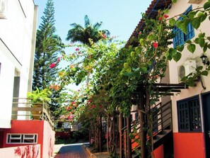 Un callejón estrecho flanqueado por edificios, cubierto de plantas trepadoras y flores.