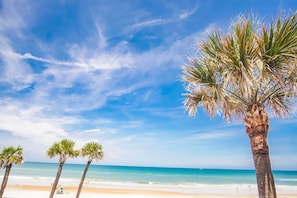 A beach with palm trees and a clear sky.